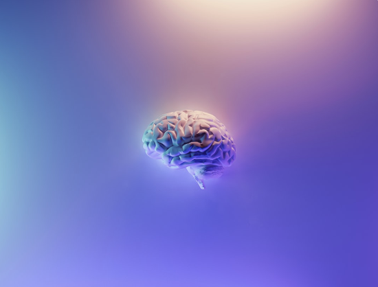 3D Purple Brain
